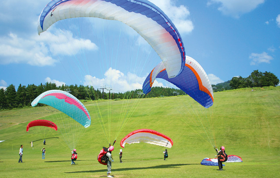 Paraglider