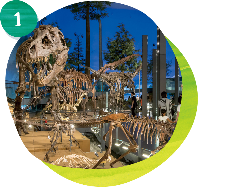 1 午前中は恐竜博物館!