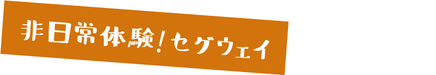 3 非日常体験!セグウェイ