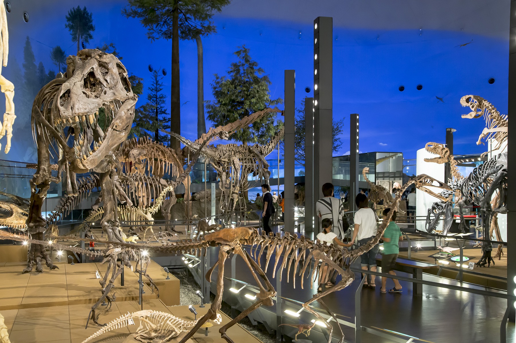 福井県立恐竜博物館（英語名：FPDM(Fukui Prefectural Dinosaur Museum)）