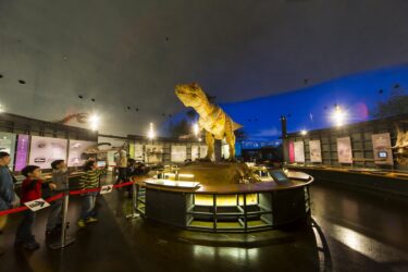 恐竜博物館周辺のおすすめ観光スポット、ランチ、宿泊、温泉情報