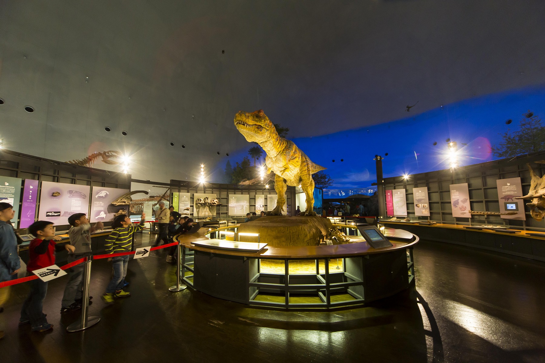恐竜博物館の見どころ　動くティラノサウルス