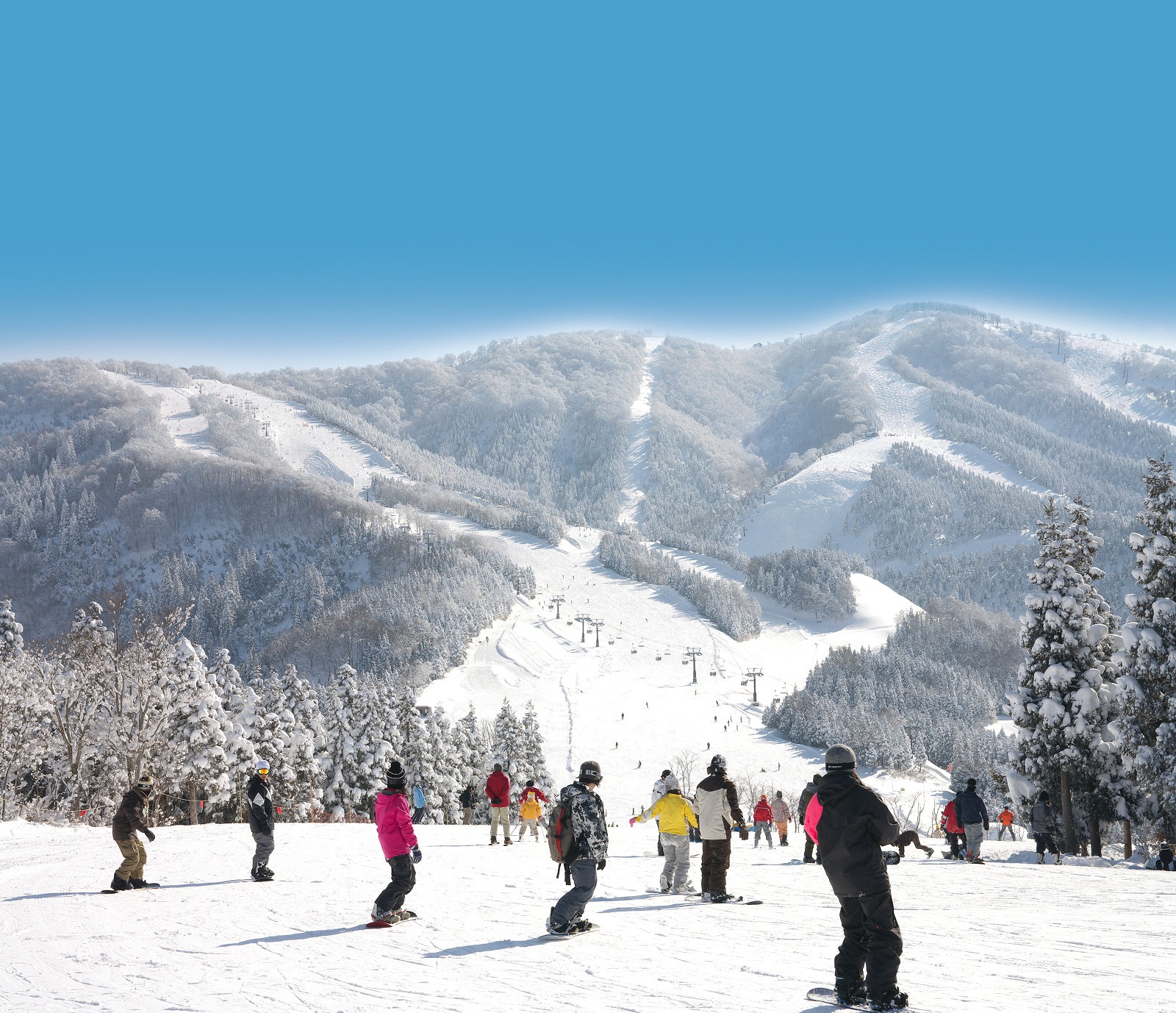 恐竜博物館周辺の見どころ　スキージャム勝山