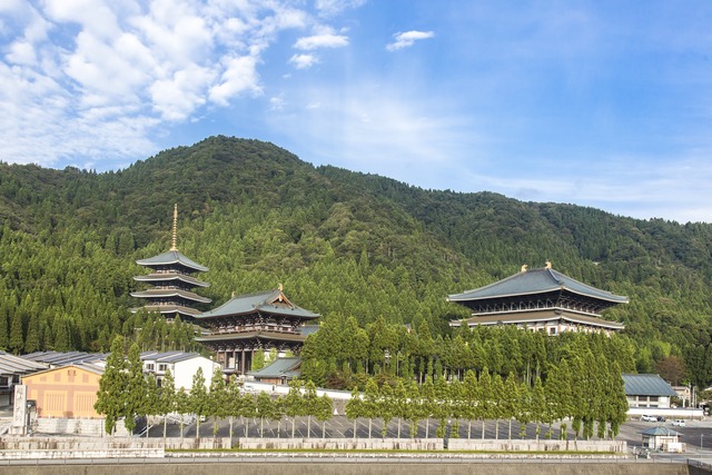 恐竜博物館周辺の見どころ　越前大仏（清大寺）