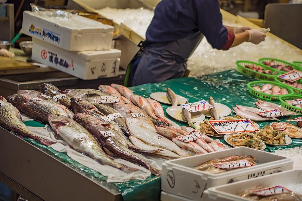 福井県のエリア別おすすめ観光スポットを徹底解説 スキージャム勝山 よりみちガイド