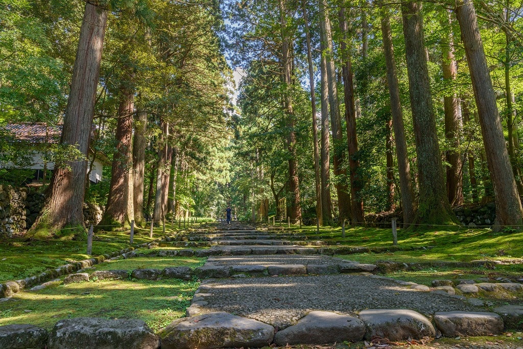 福井観光勝山市　白山平泉寺