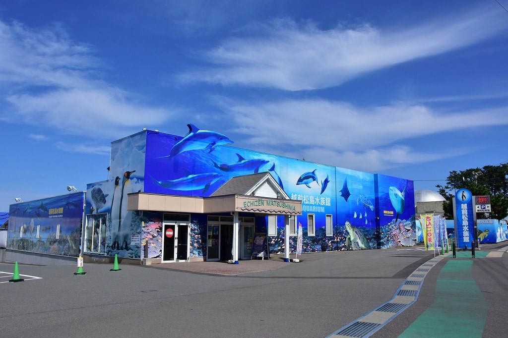 福井観光　松島水族館