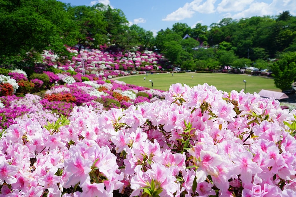 福井観光鯖江市　西山公園