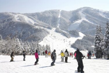 【2025-26最新】スキージャム勝山の早割リフト券が販売開始！ふるさと納税でもお得にゲット！