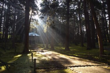 【勝山観光モデルコース】6月の旅行に最適！平泉寺の苔庭と屋内スポットを満喫