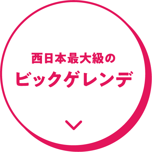 西日本最大級のビックゲレンデ