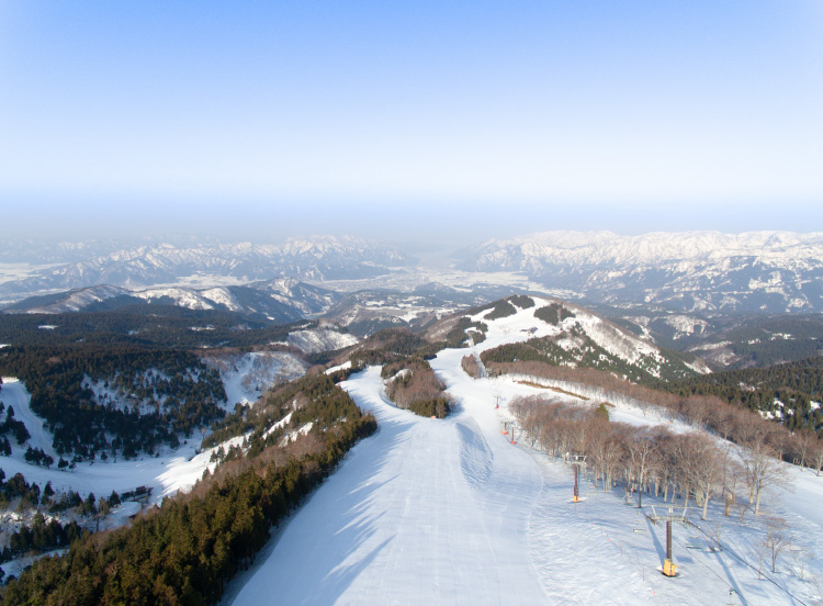 チケットスキージャム勝山