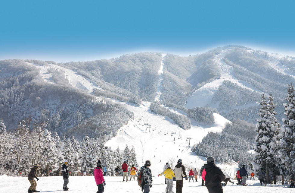 シーズンチケット | 【SKIJAM】スキージャム勝山｜西日本最大級のゲレンデ