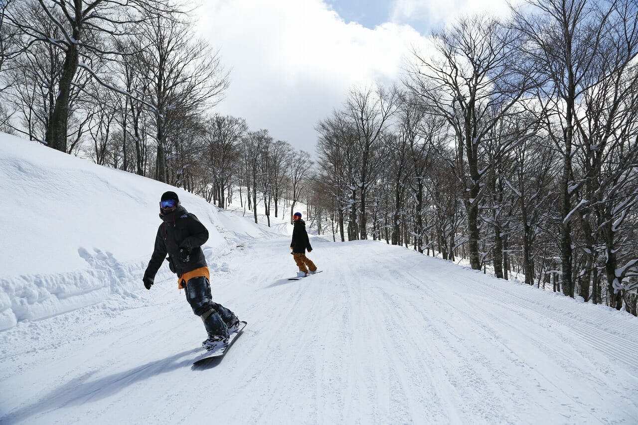 関西おすすめスキー場林道コース