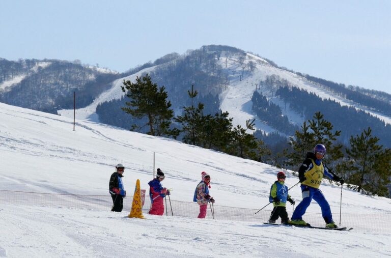 シーズン最新版子供におすすめのスキー場“スキージャム勝山”の